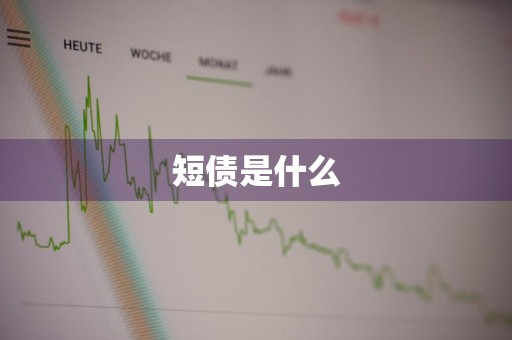 短债是什么