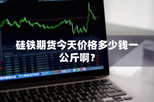 硅铁期货今天价格多少钱一公斤啊？
