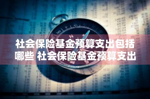 社会保险基金预算支出包括哪些 社会保险基金预算支出包括哪些内容