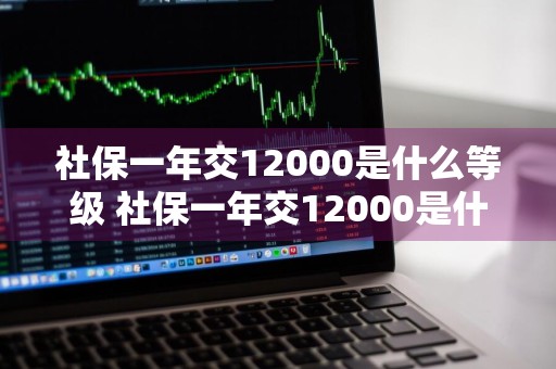 社保一年交12000是什么等级 社保一年交12000是什么等级