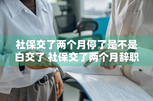 社保交了两个月停了是不是白交了 社保交了两个月辞职了怎么办