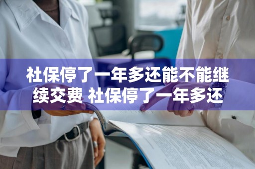 社保停了一年多还能不能继续交费 社保停了一年多还能不能继续交费可以别人代办理吗