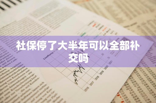 社保停了大半年可以全部补交吗
