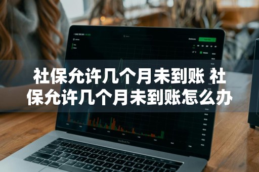 社保允许几个月未到账 社保允许几个月未到账怎么办
