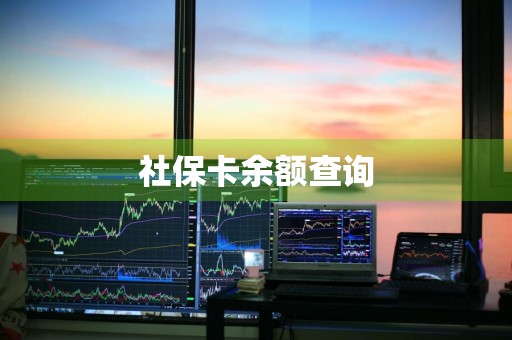 社保卡余额查询