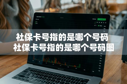 社保卡号指的是哪个号码 社保卡号指的是哪个号码图片
