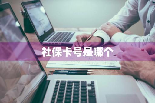 社保卡号是哪个