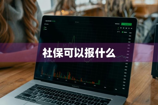 社保可以报什么