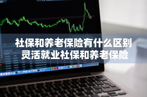 社保和养老保险有什么区别 灵活就业社保和养老保险有什么区别