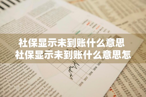 社保显示未到账什么意思 社保显示未到账什么意思怎么办