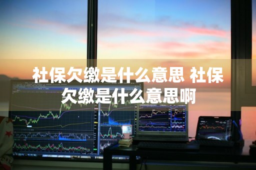 社保欠缴是什么意思 社保欠缴是什么意思啊