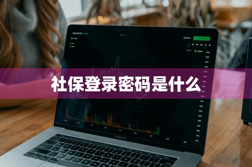 社保登录密码是什么