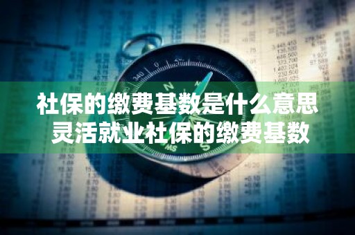 社保的缴费基数是什么意思 灵活就业社保的缴费基数是什么意思