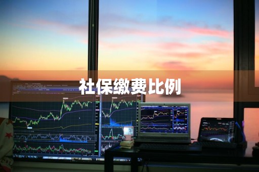 社保缴费比例