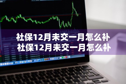 社保12月未交一月怎么补 社保12月未交一月怎么补交