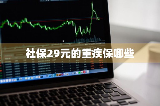 社保29元的重疾保哪些