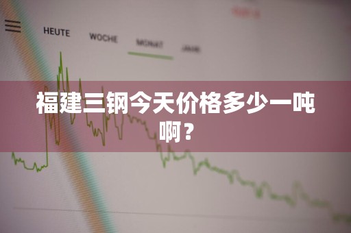 福建三钢今天价格多少一吨啊？