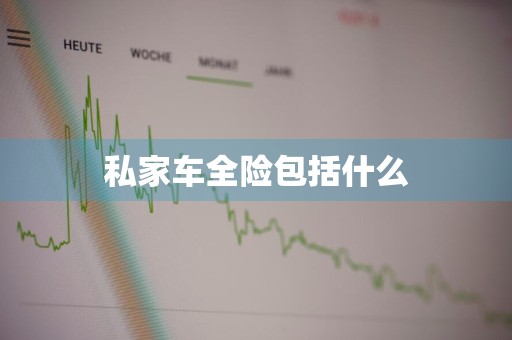 私家车全险包括什么