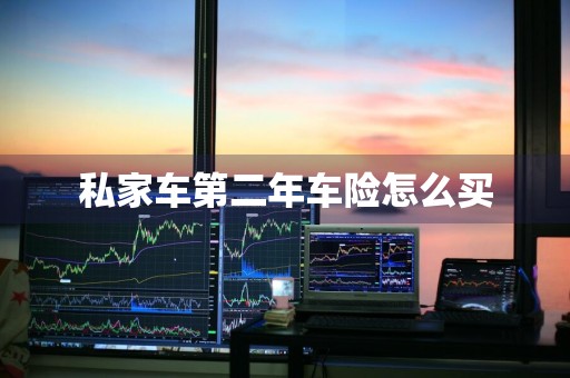 私家车第二年车险怎么买