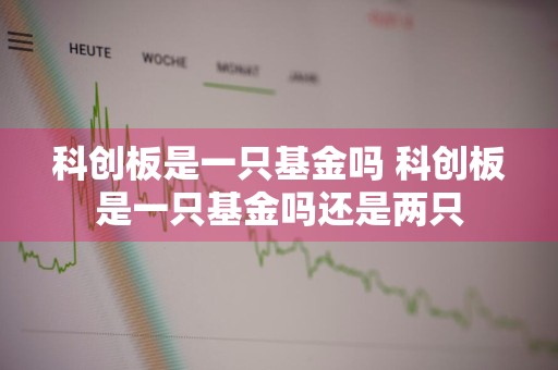 科创板是一只基金吗 科创板是一只基金吗还是两只