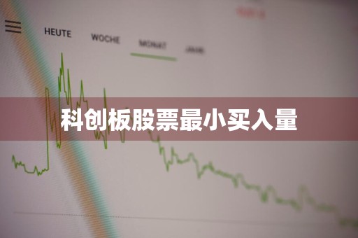 科创板股票最小买入量
