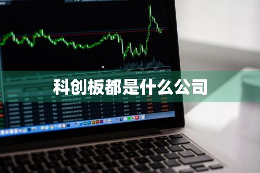 科创板都是什么公司