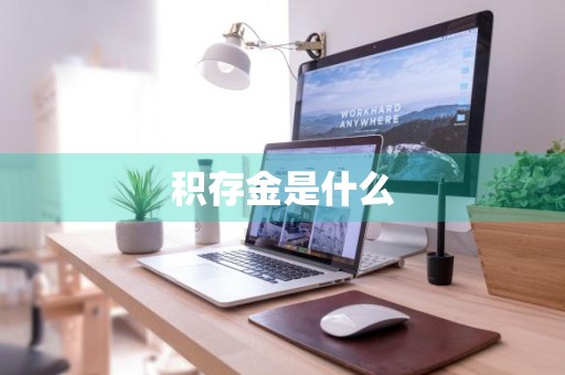 积存金是什么