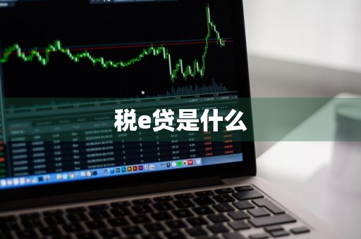 税e贷是什么