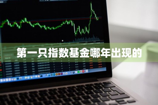 第一只指数基金哪年出现的