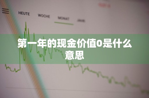 第一年的现金价值0是什么意思