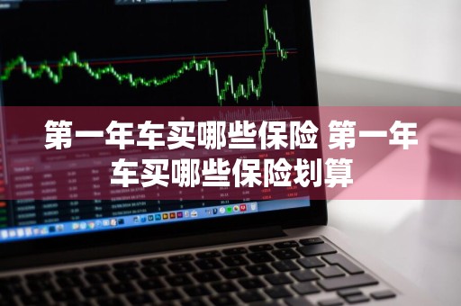 第一年车买哪些保险 第一年车买哪些保险划算