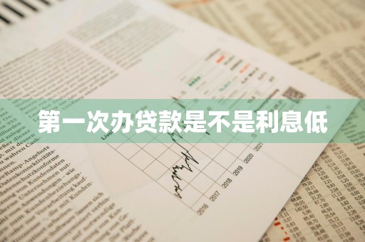 第一次办贷款是不是利息低