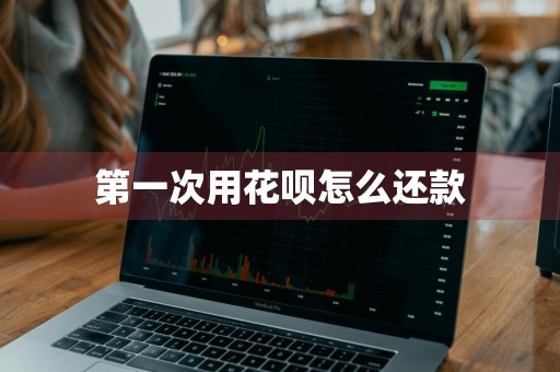 第一次用花呗怎么还款