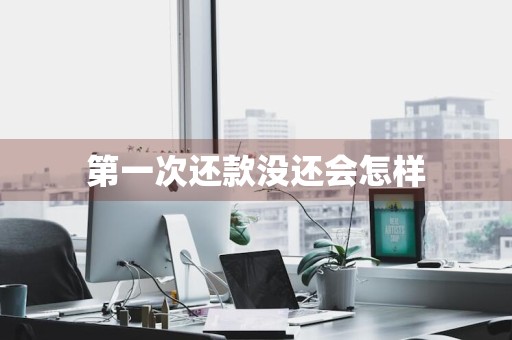 第一次还款没还会怎样