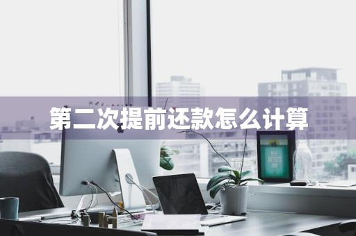第二次提前还款怎么计算