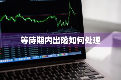 等待期内出险如何处理