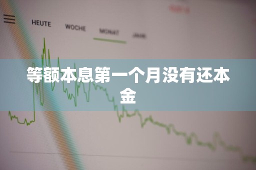 等额本息第一个月没有还本金