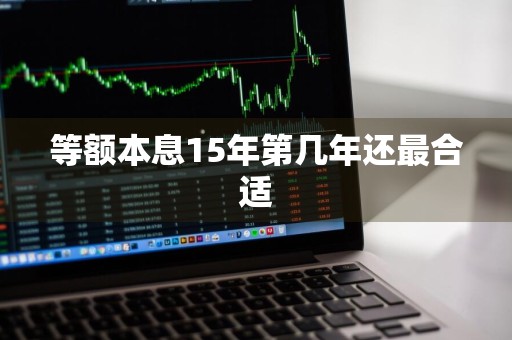 等额本息15年第几年还最合适