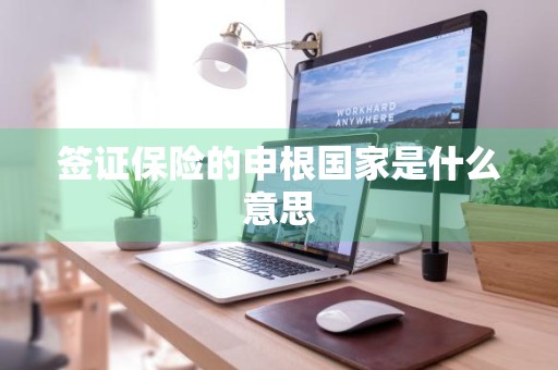 签证保险的申根国家是什么意思