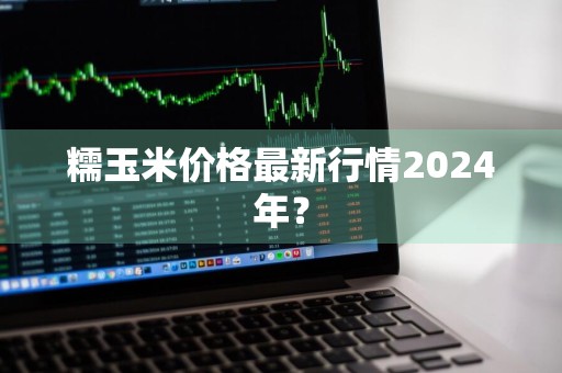 糯玉米价格最新行情2024年？