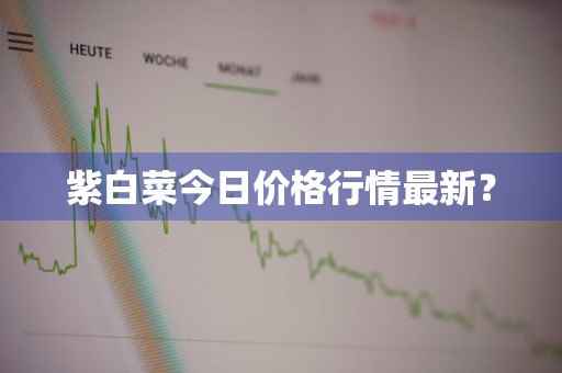 紫白菜今日价格行情最新？