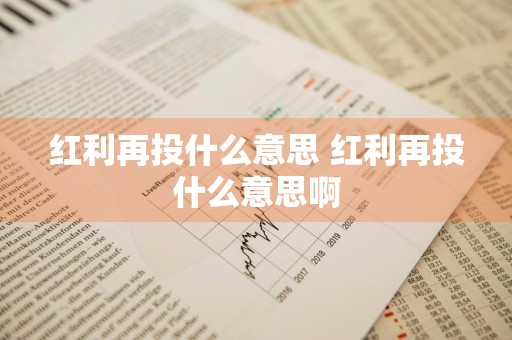 红利再投什么意思 红利再投什么意思啊