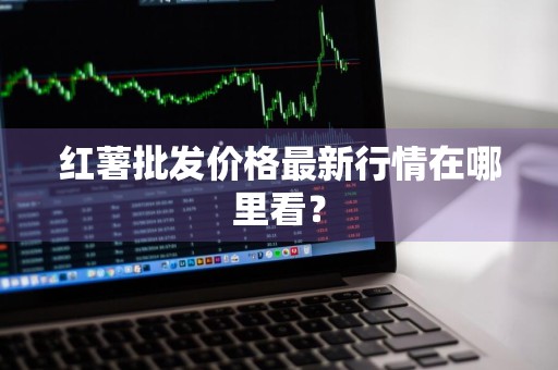 红薯批发价格最新行情在哪里看？
