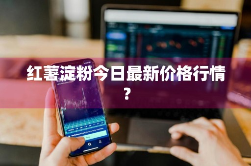 红薯淀粉今日最新价格行情？
