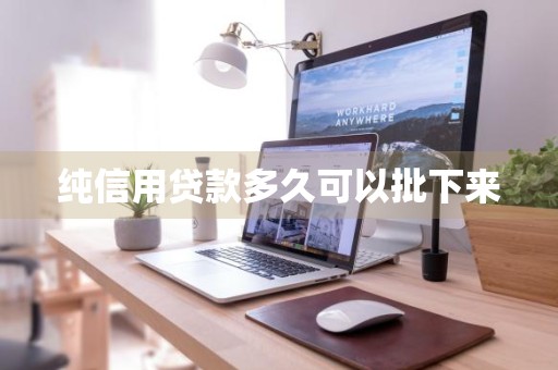 纯信用贷款多久可以批下来