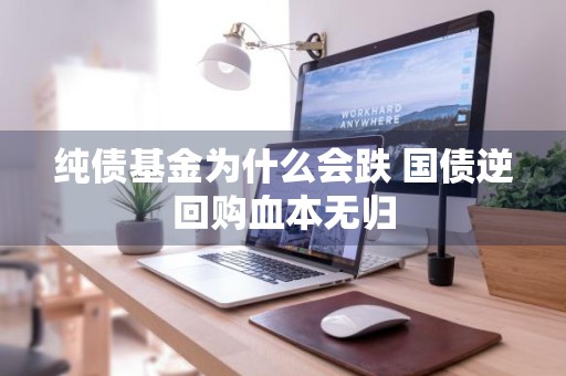 纯债基金为什么会跌 国债逆回购血本无归