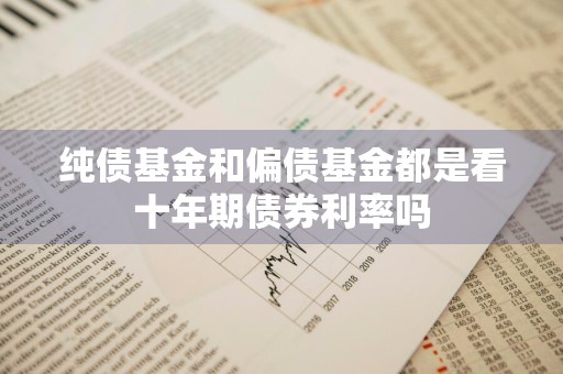纯债基金和偏债基金都是看十年期债券利率吗