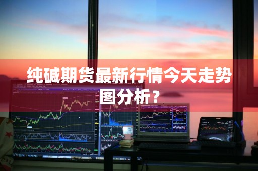 纯碱期货最新行情今天走势图分析？