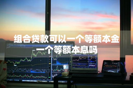 组合贷款可以一个等额本金一个等额本息吗