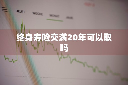 终身寿险交满20年可以取吗